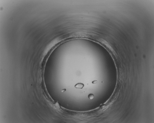 X0000062851075200601201657