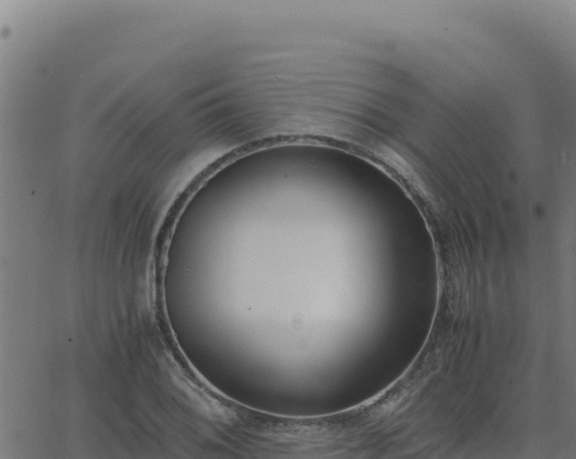 X0000062851076200601201657