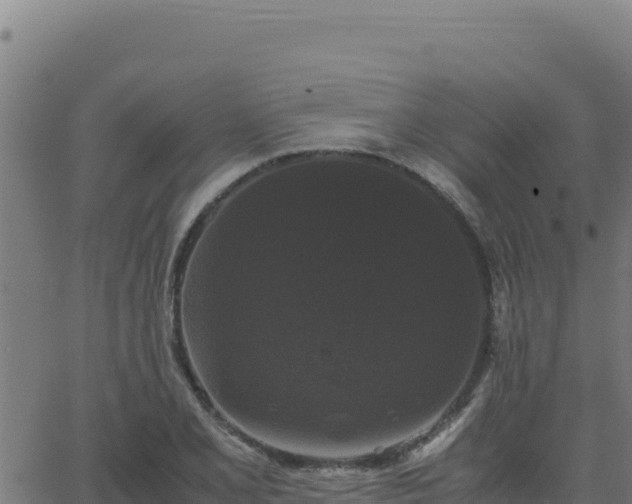 X0000062851077200601201657