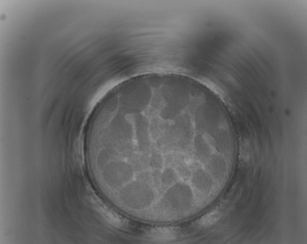 X0000062851078200601201657