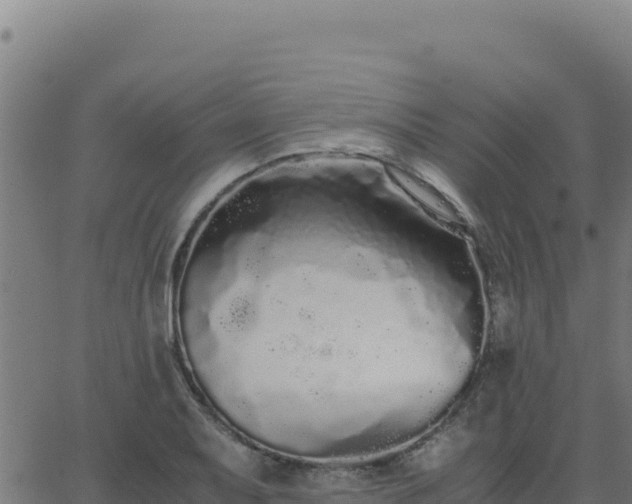 X0000062851079200601201657