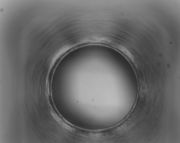 X0000062851080200601201657