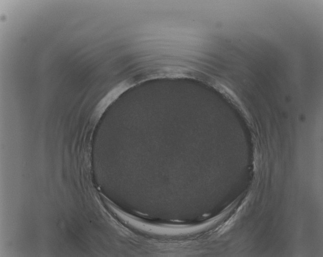 X0000062851081200601201657