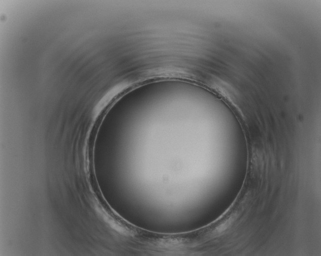 X0000062851082200601201657