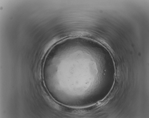 X0000062851083200601201657