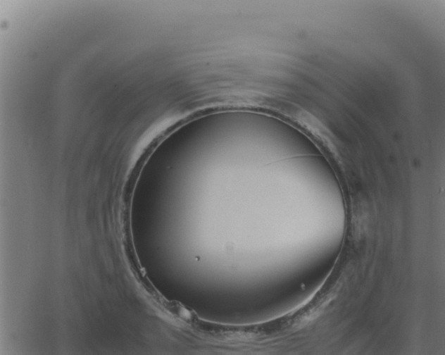 X0000062851085200601201657