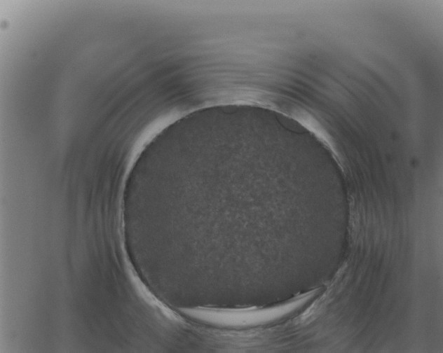 X0000062851088200601201657