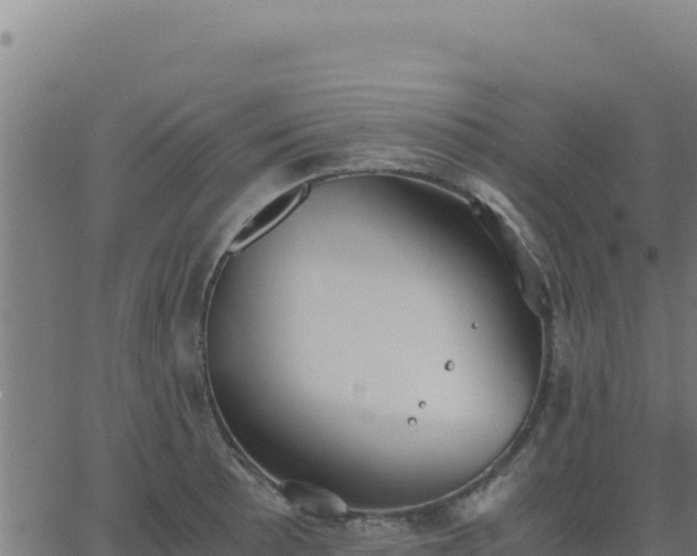 X0000062851089200601201657