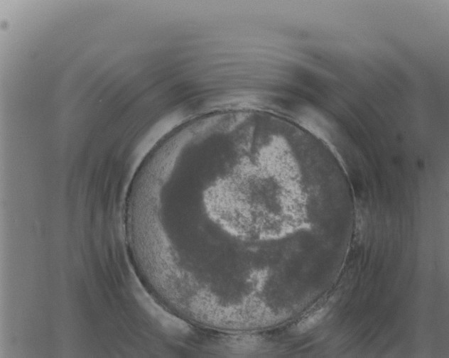 X0000062851090200601201657