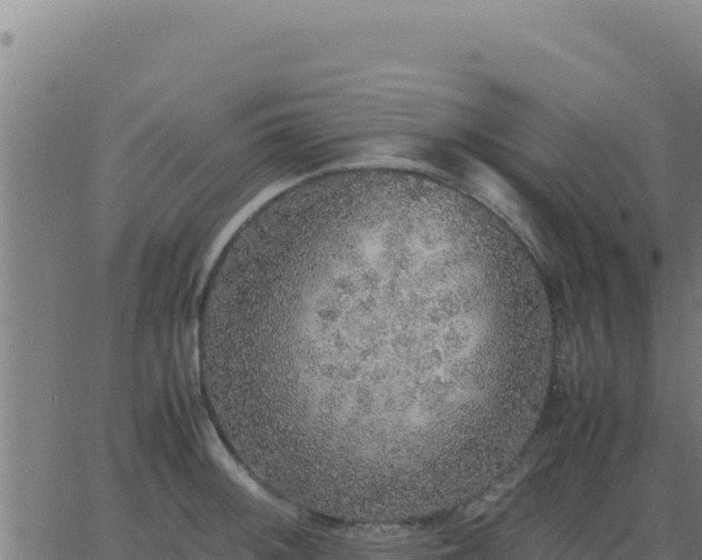 X0000062851092200601201657