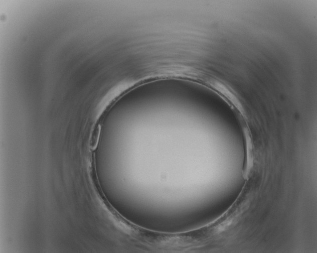 X0000062851093200601201657