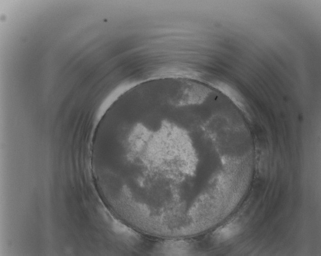 X0000062851094200601201657