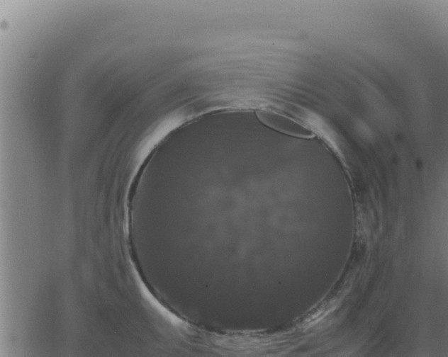 X0000062851095200601201657