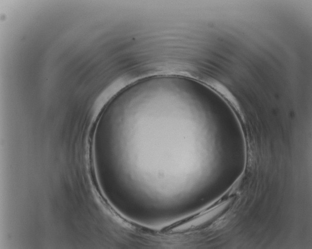 X0000062851096200601201657