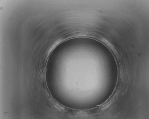 X0000062851097200601201657