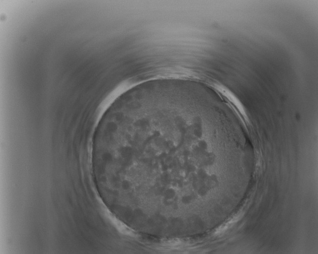 X0000062851099200601201657