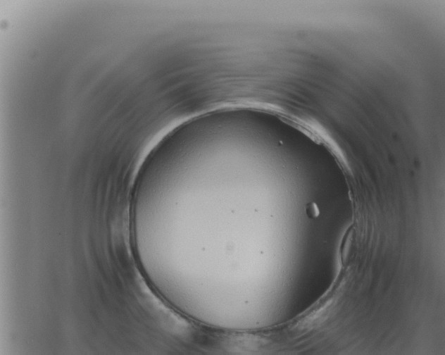 X0000062851100200601201657