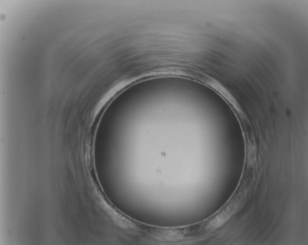 X0000062851101200601201657