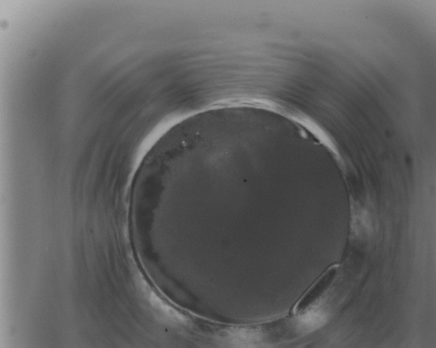 X0000062851102200601201657