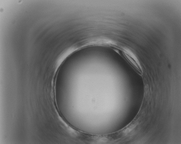 X0000062851103200601201657