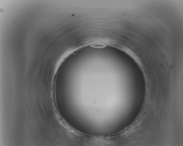 X0000062851104200601201657