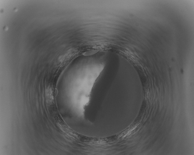 X0000062851106200601201656