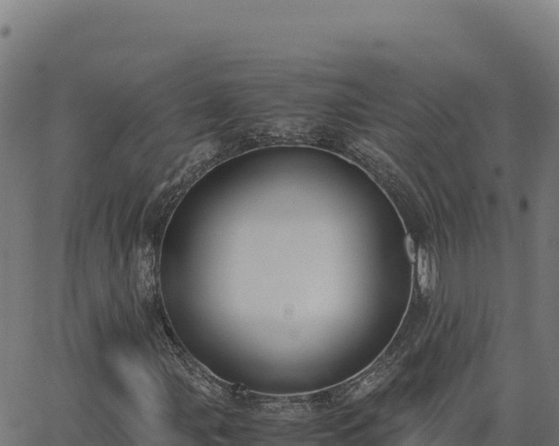 X0000062851107200601201656