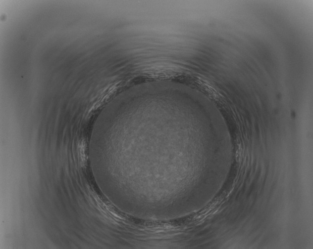 X0000062851108200601201656