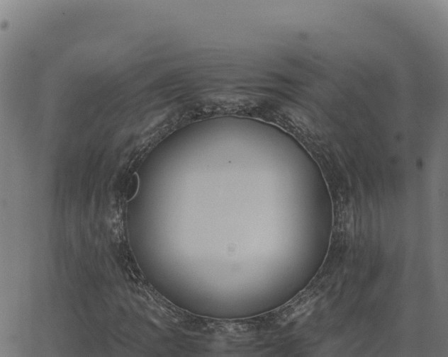 X0000062851109200601201656