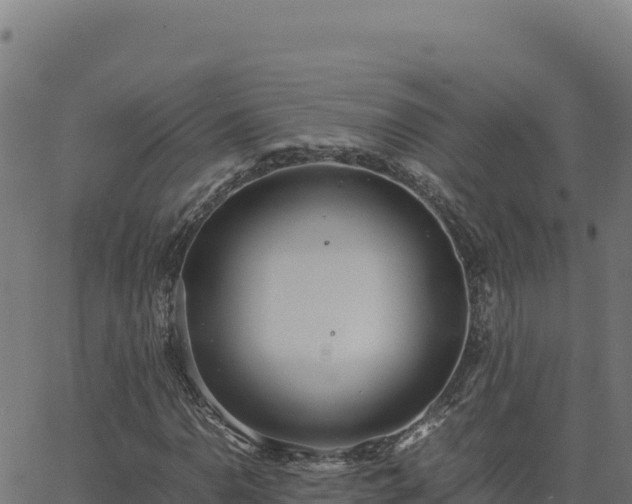 X0000062851110200601201656