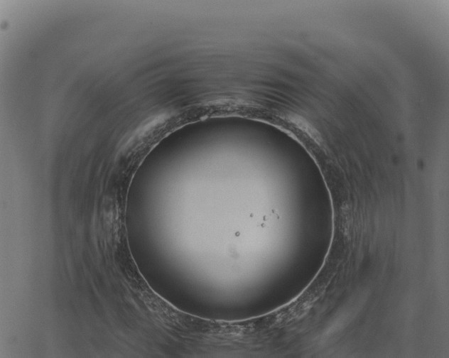 X0000062851111200601201656