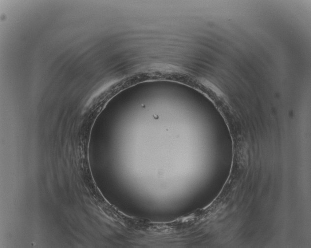 X0000062851112200601201656