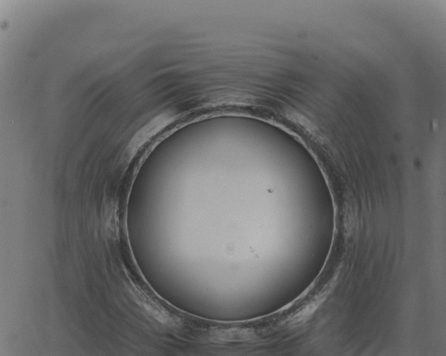 X0000062851113200601201656