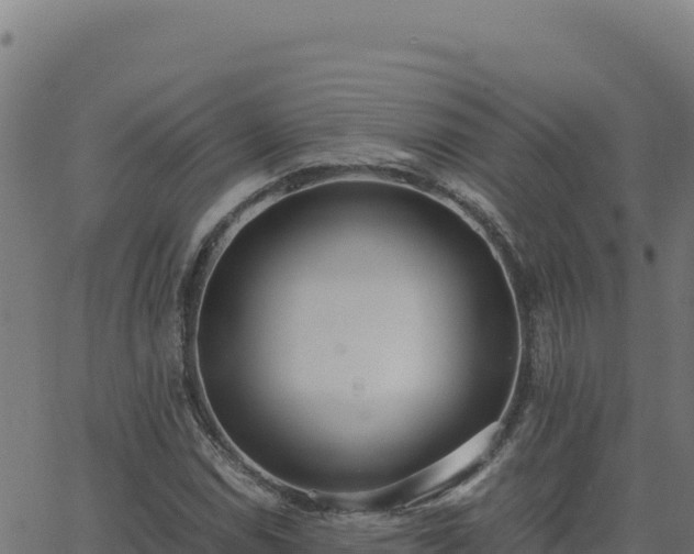 X0000062851114200601201656