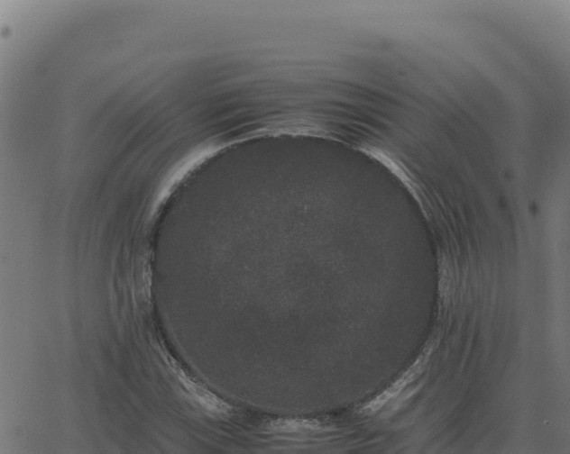 X0000062851115200601201656