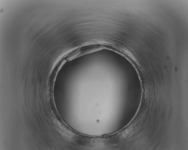 X0000062851116200601201656