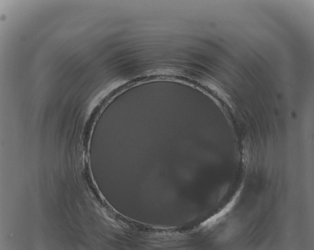 X0000062851117200601201656