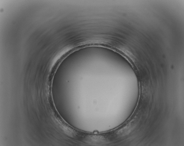 X0000062851119200601201656