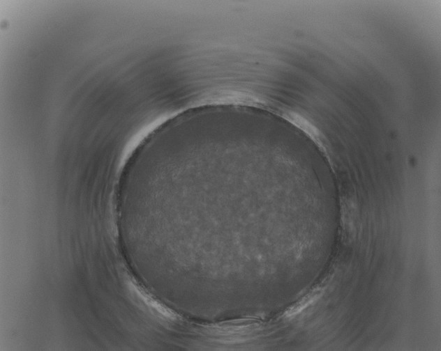 X0000062851120200601201656