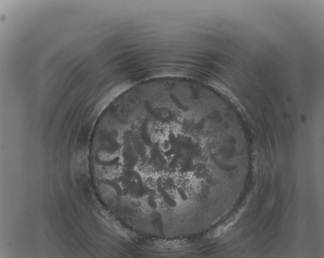 X0000062851121200601201656