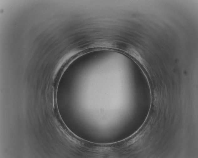 X0000062851123200601201656