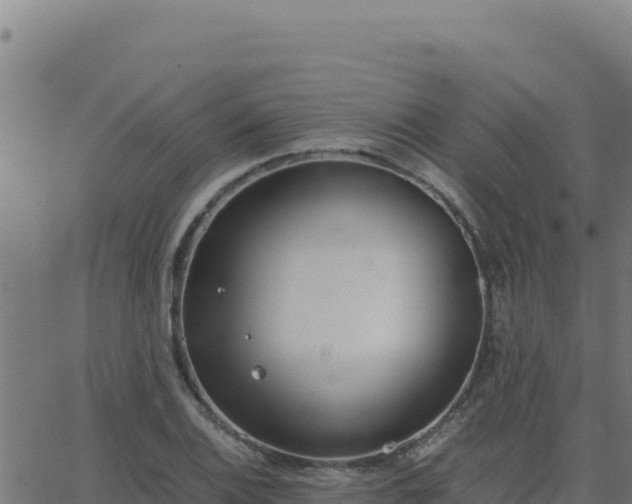 X0000062851124200601201656