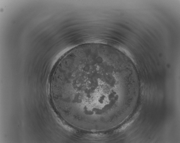 X0000062851125200601201656