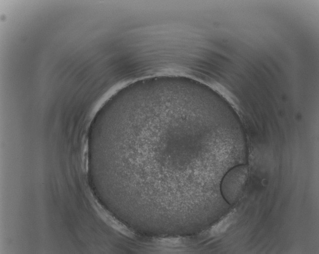 X0000062851126200601201656