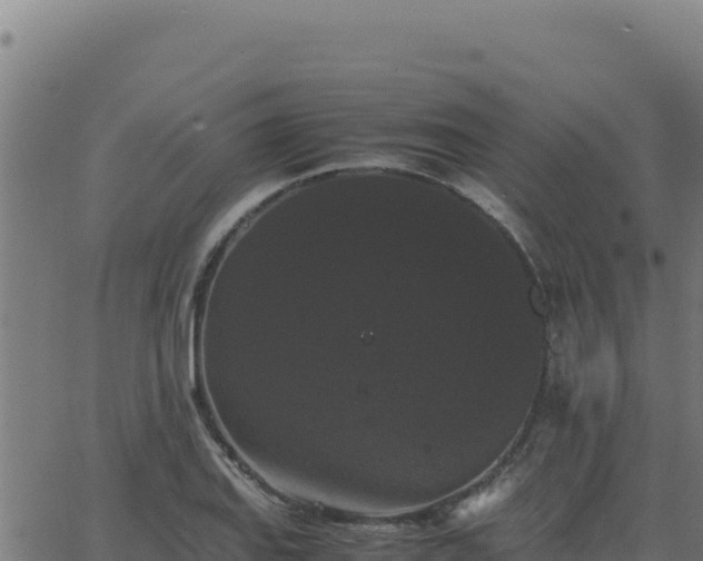 X0000062851127200601201656