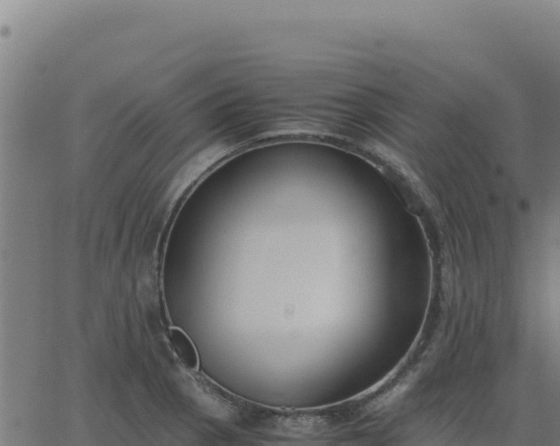 X0000062851129200601201656