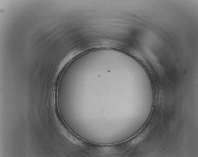 X0000062851130200601201656