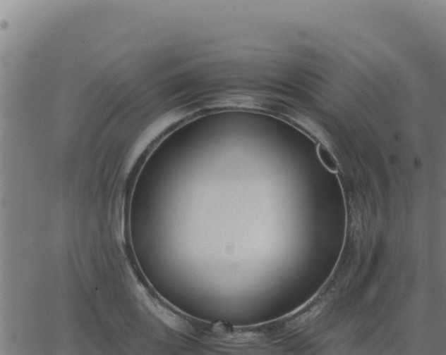 X0000062851131200601201656