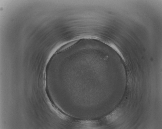 X0000062851132200601201656