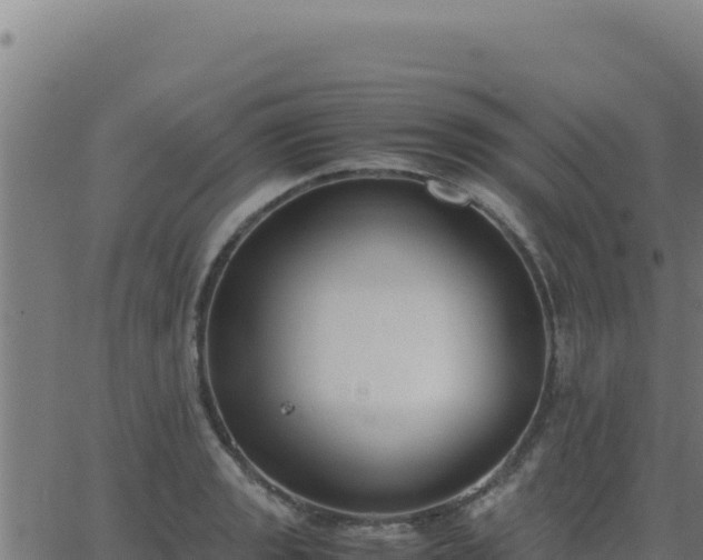 X0000062851133200601201656